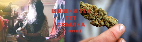 ГАЛЛЮЦИНОГЕННЫЕ ГРИБЫ Иннополис