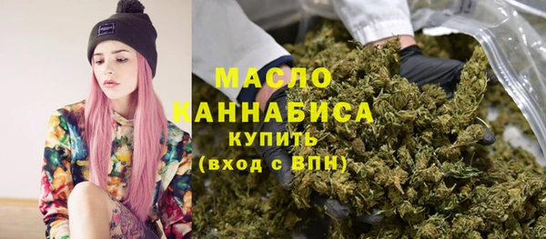 гидра Зеленодольск