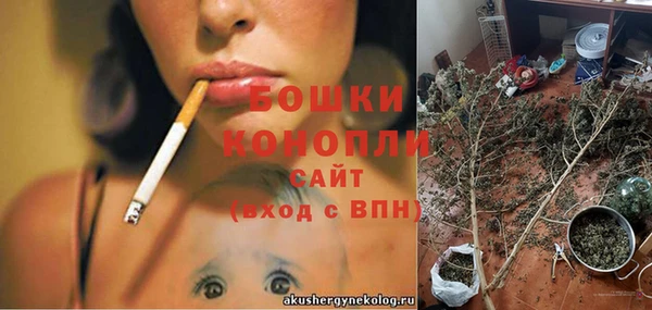 ГАЛЛЮЦИНОГЕННЫЕ ГРИБЫ Иннополис