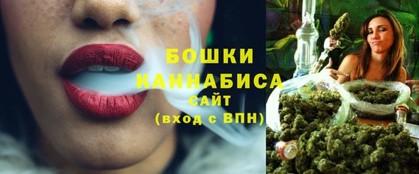 spice Инсар