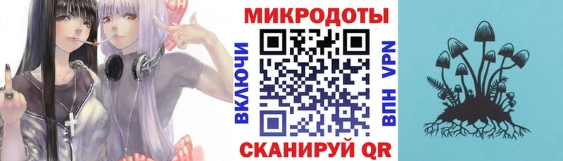 Галлюциногенные грибы Cubensis  Купить где  Абдулино 